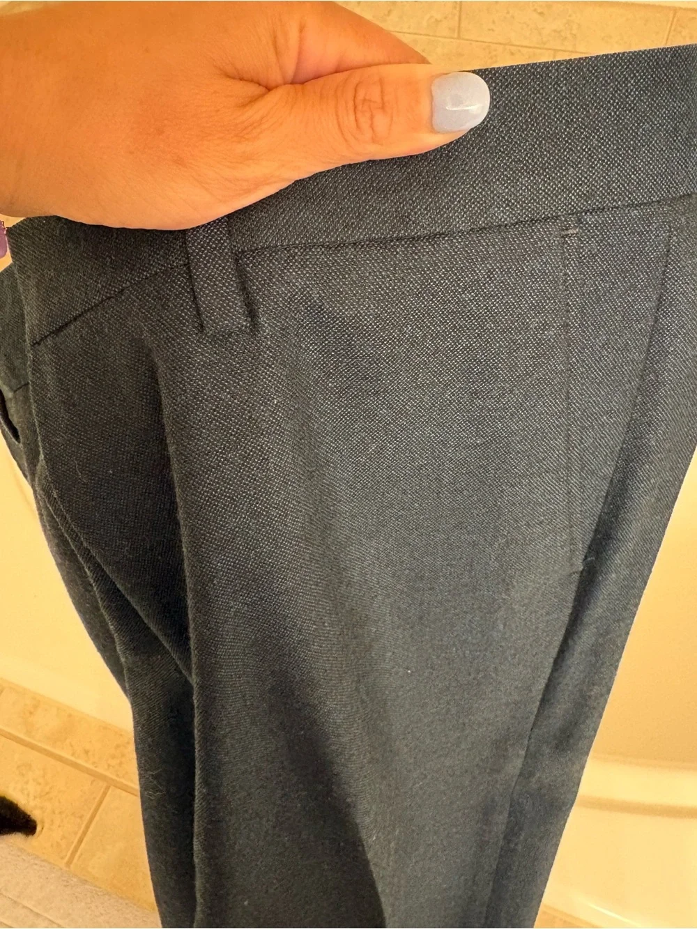J. Crew Dress Pants